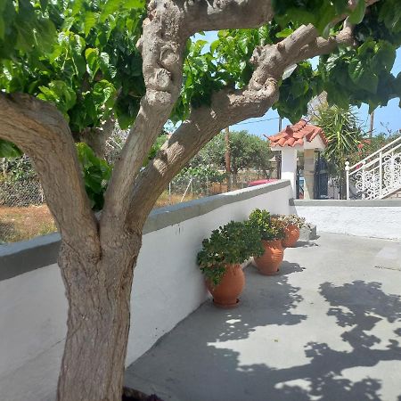 Mulberry House Hotel Elafonissos Eksteriør billede